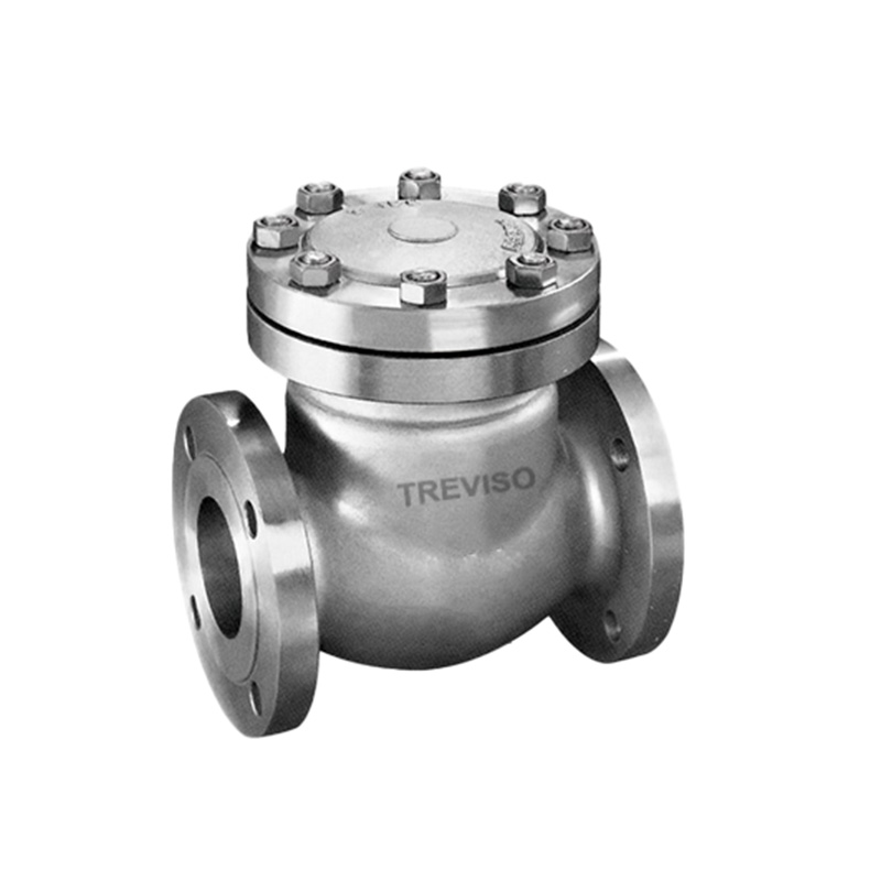 American standard stainless steel check valve