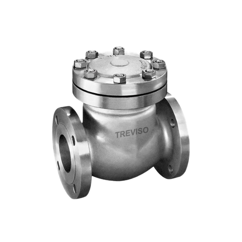 Japanese standard stainless steel check valve
