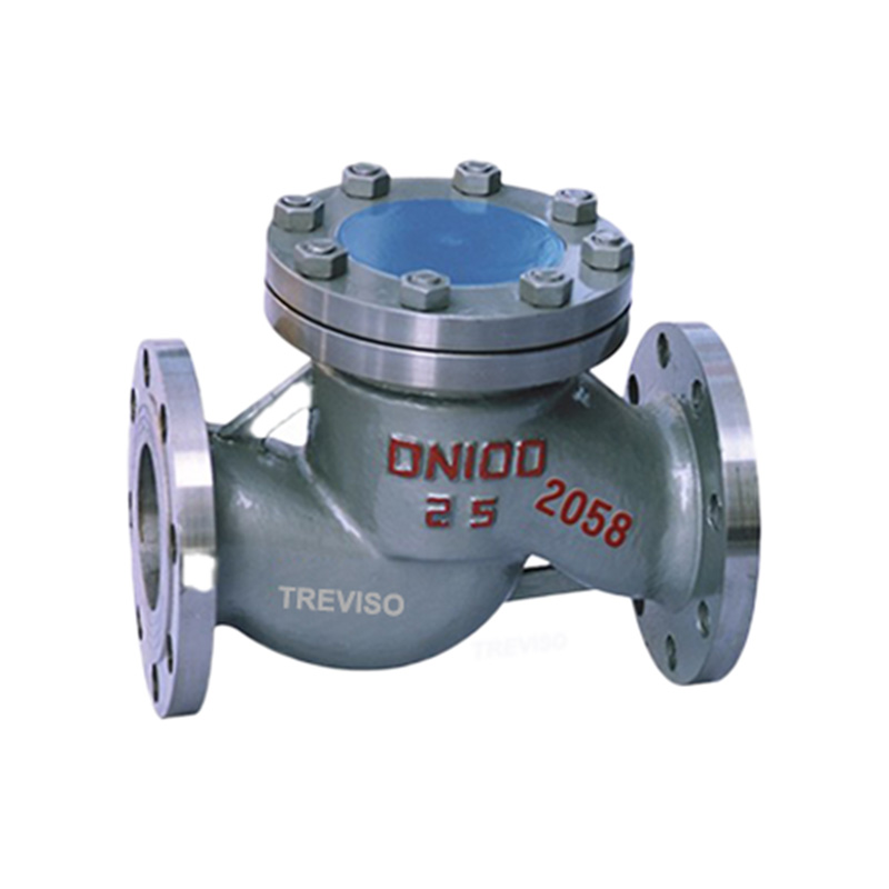  Lift check valve