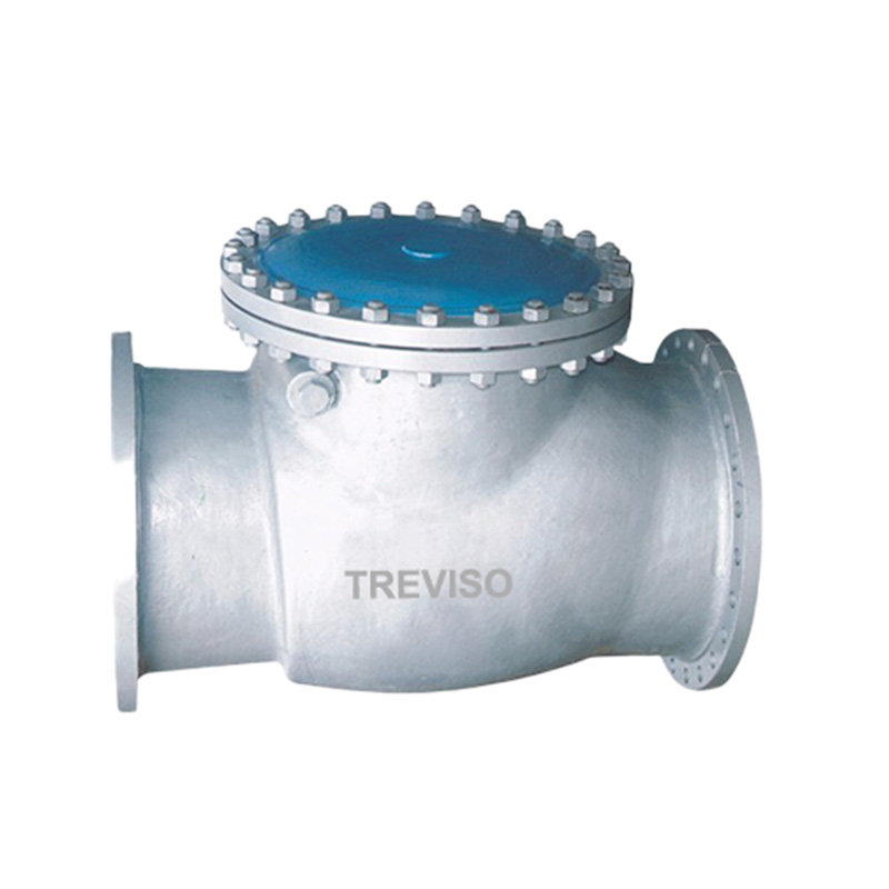 Swing check valve