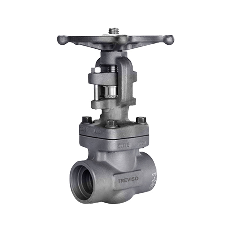 globe valve