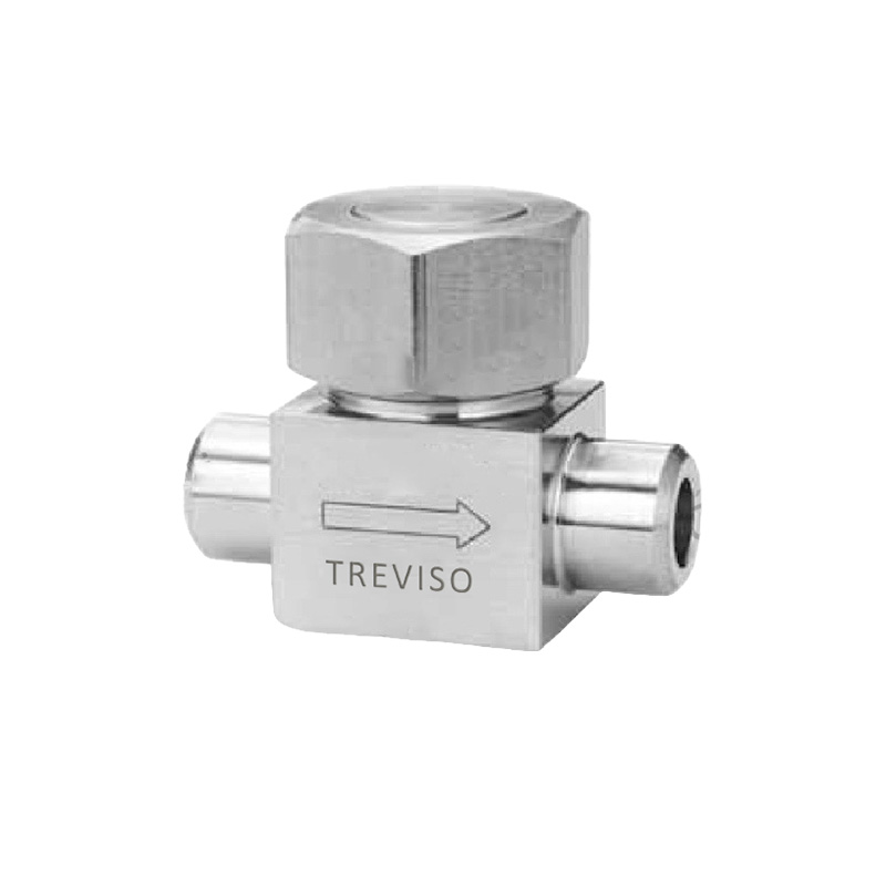 Check valve
