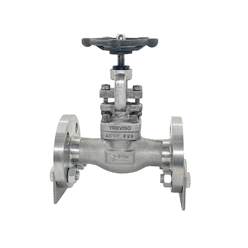 Forged steel globe valve