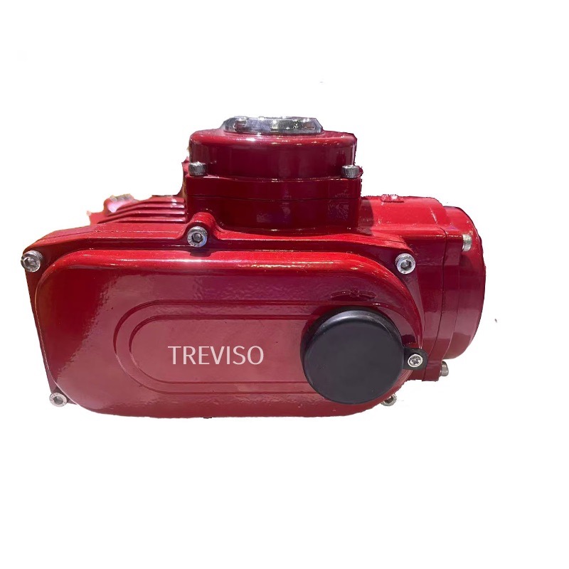 Explosion-proof compact electric actuator